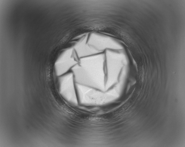 X0000075360268200610061754