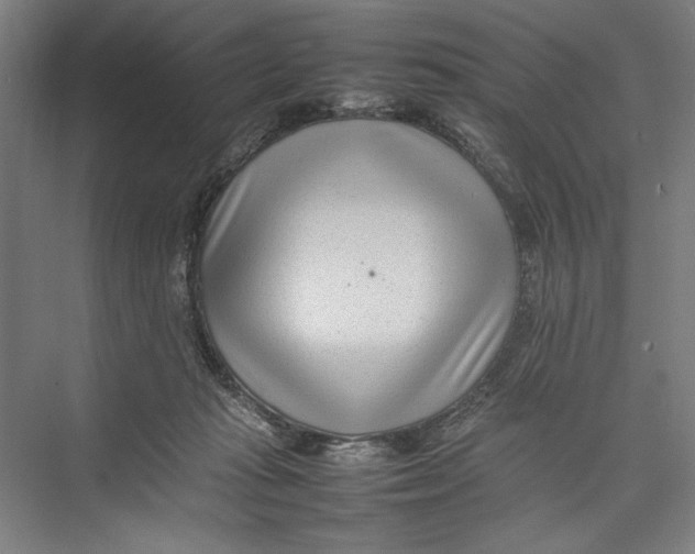 X0000075360269200610061754