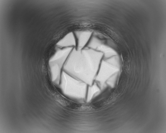 X0000075360270200610061754