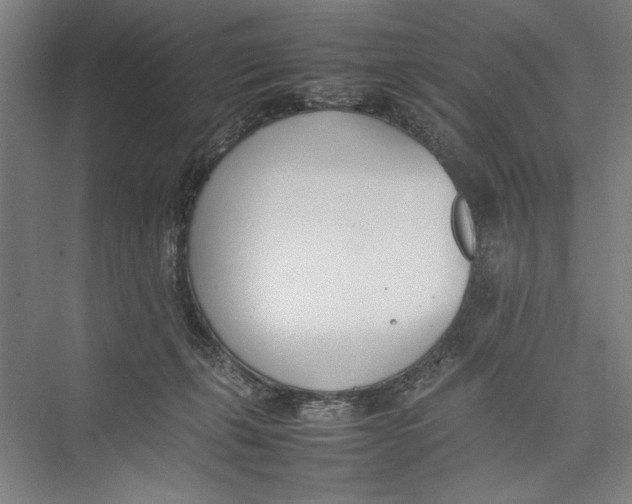 X0000075360271200610061754