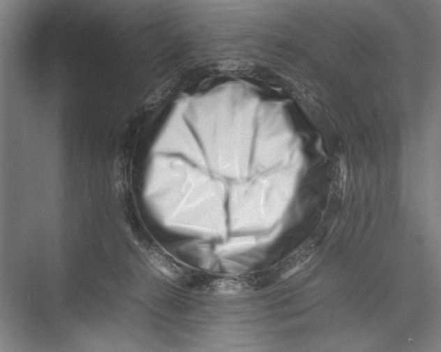 X0000075360272200610061754