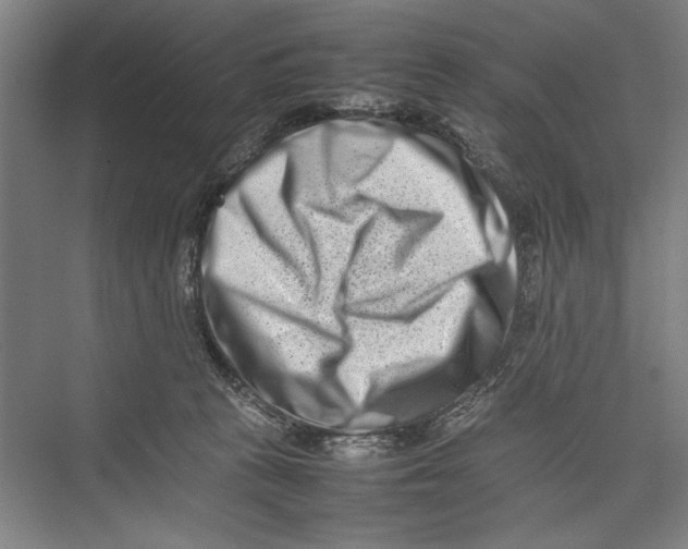 X0000075360273200610061754