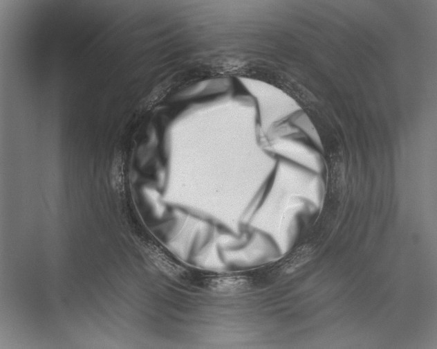 X0000075360274200610061754