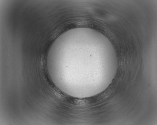 X0000075360277200610061754