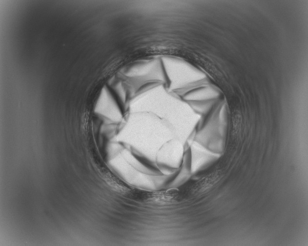 X0000075360278200610061754