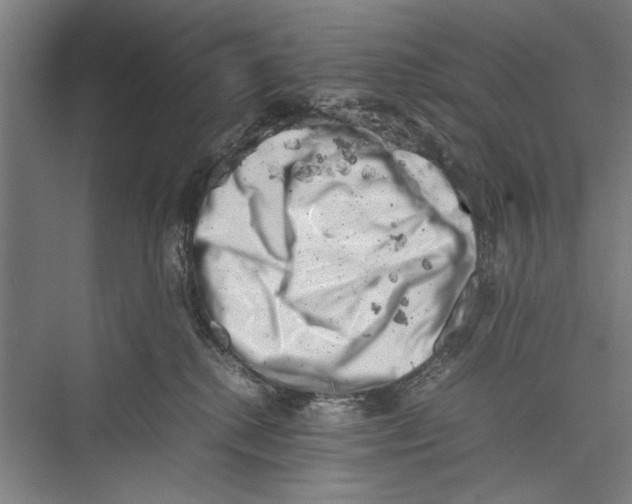 X0000075360280200610061755