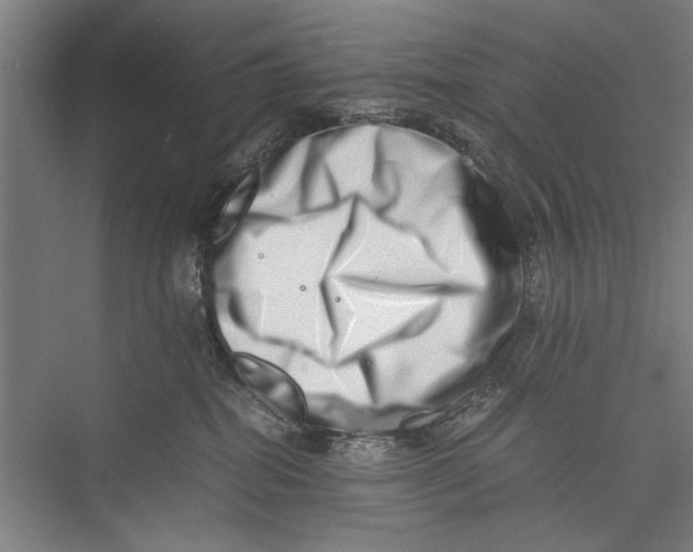 X0000075360282200610061755