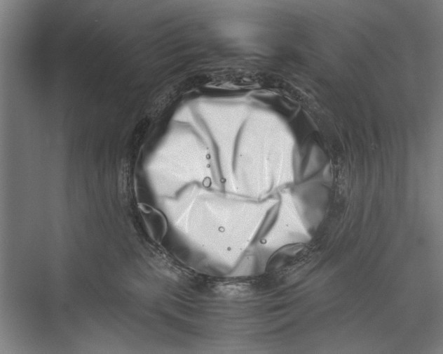 X0000075360283200610061755