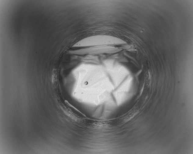 X0000075360284200610061755