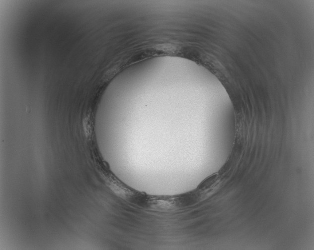 X0000075360285200610061755