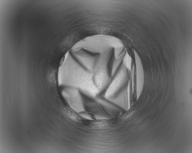 X0000075360286200610061755