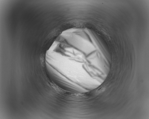 X0000075360288200610061755