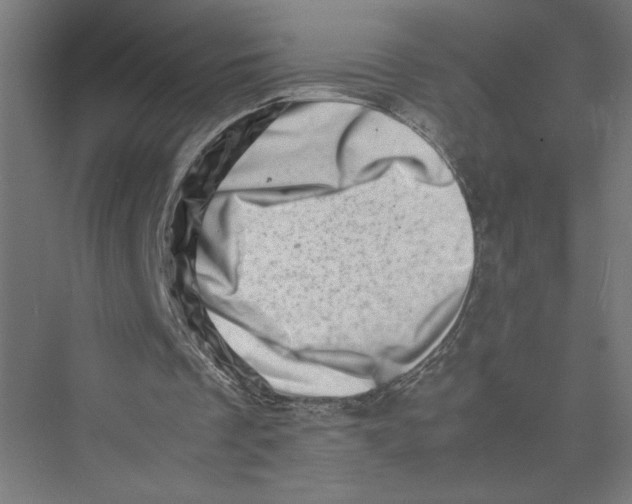 X0000075360289200610061754