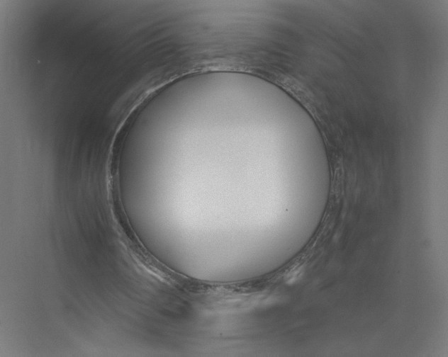 X0000075360290200610061754