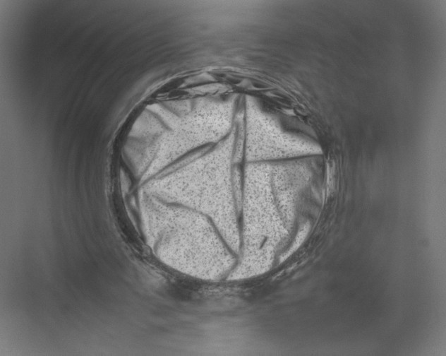 X0000075360291200610061754