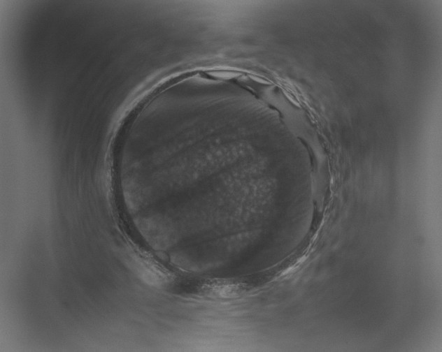 X0000075360295200610061754