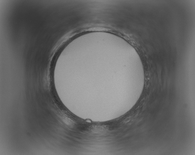 X0000075360296200610061754