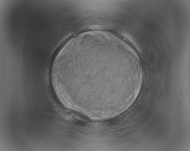 X0000075360297200610061754