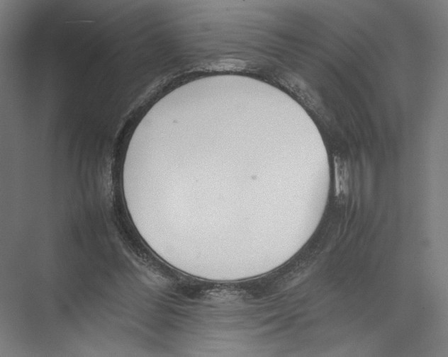 X0000075360300200610061754