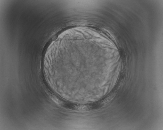 X0000075360301200610061754