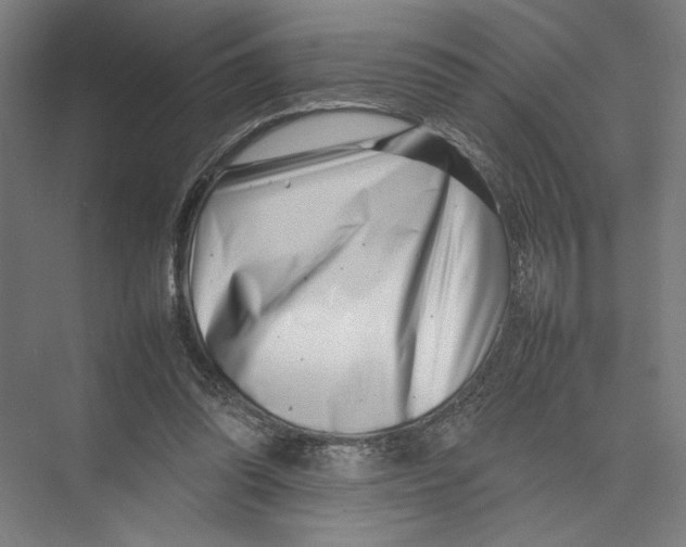 X0000075360302200610061754