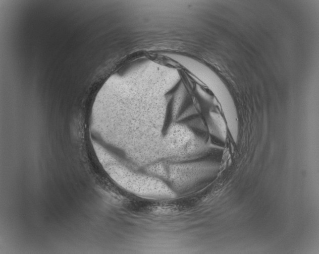 X0000075360303200610061754