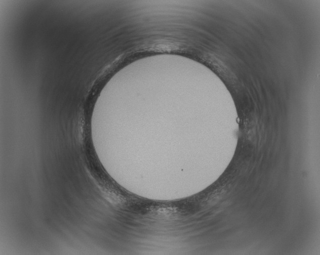 X0000075360304200610061754