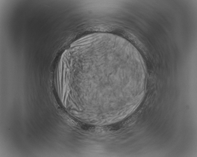 X0000075360305200610061754