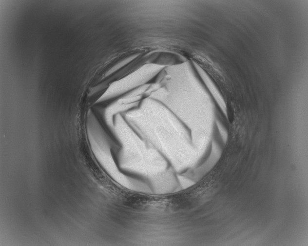 X0000075360306200610061754