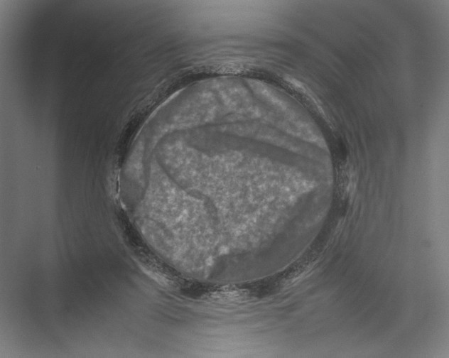 X0000075360307200610061754