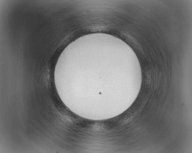 X0000075360308200610061754