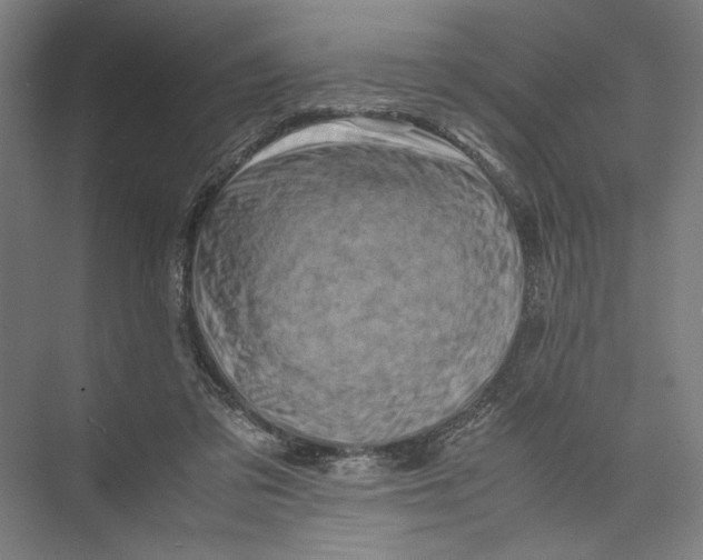 X0000075360309200610061753