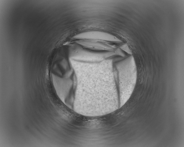 X0000075360310200610061753