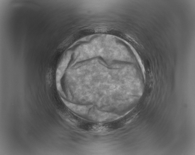 X0000075360311200610061753