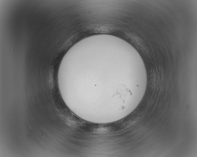 X0000075360312200610061753