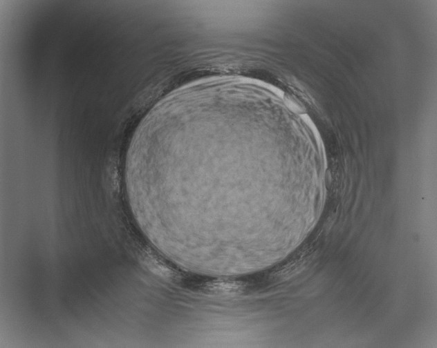 X0000075360313200610061753