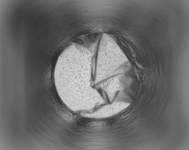 X0000075360314200610061753