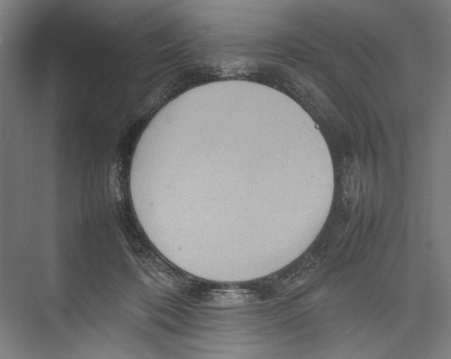 X0000075360316200610061753