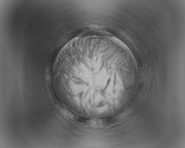 X0000075360317200610061753