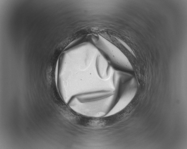 X0000075360319200610061753