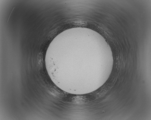 X0000075360320200610061753