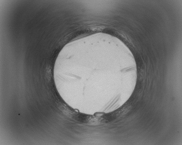 X0000075360321200610061753