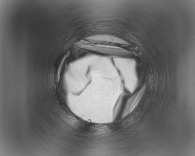 X0000075360322200610061753