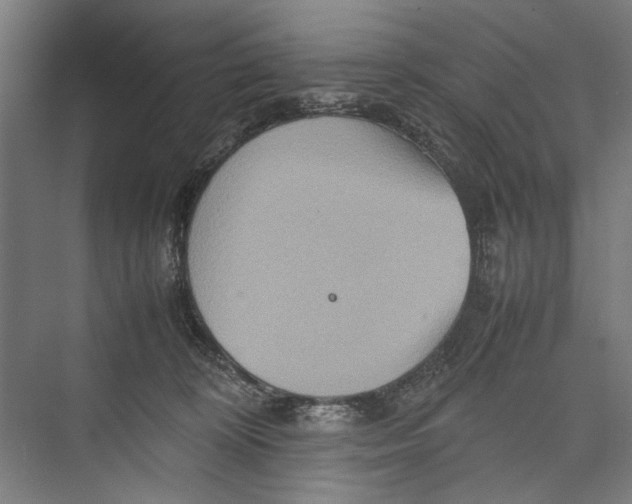 X0000075360324200610061753