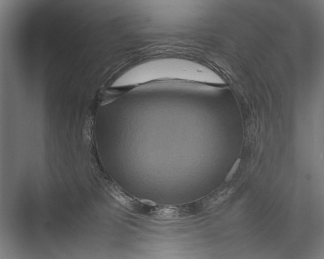 X0000075360325200610061753