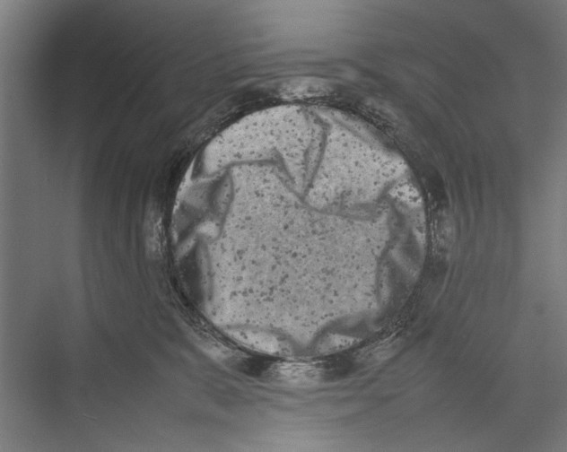 X0000075360327200610061753