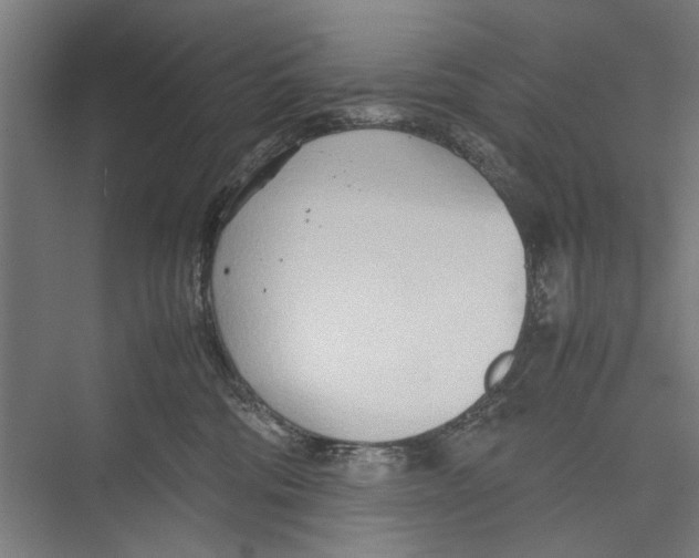 X0000075360330200610061753