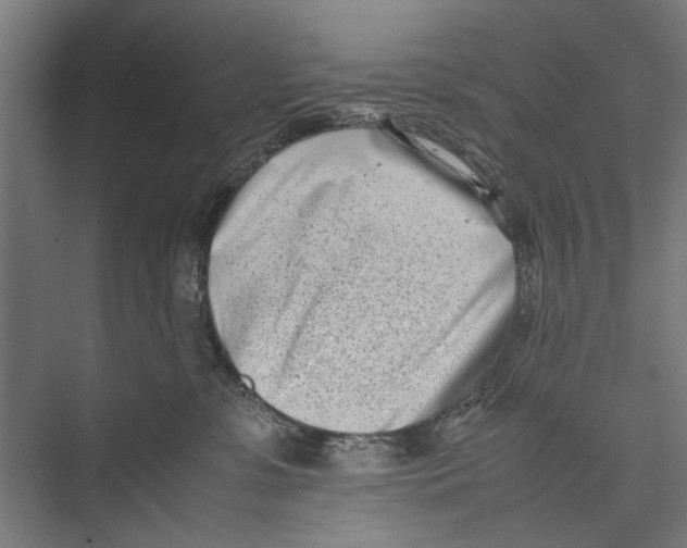 X0000075360331200610061753