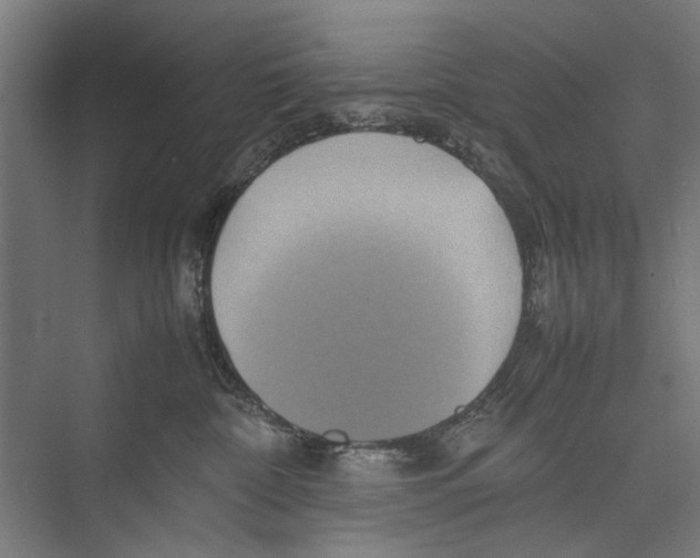 X0000075360332200610061753