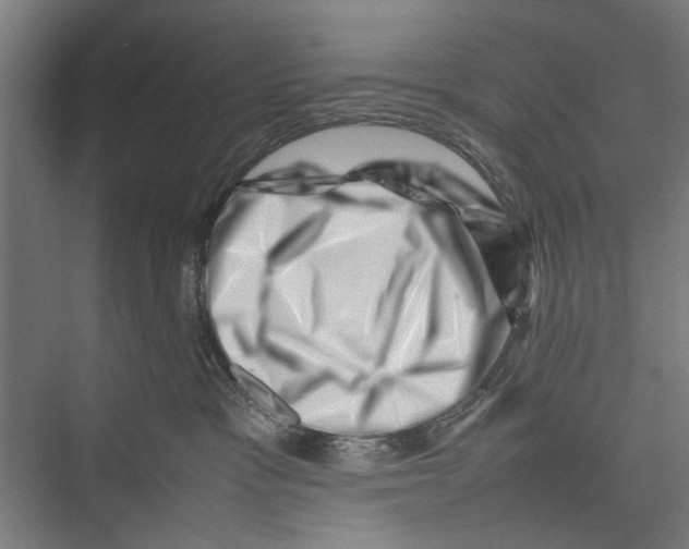 X0000075360333200610061753